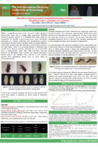 PosterIECE_2025.pdf