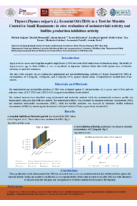 Galgano et al poster  - the 3th ECM online sciforum.pdf
