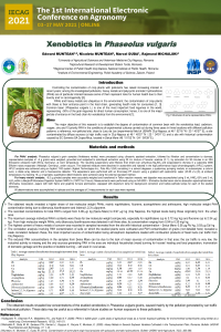bean poster Muntean xeno.pdf