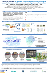 Poster Haliclona - Congress.pdf