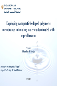 conference presentation mdpi.pdf