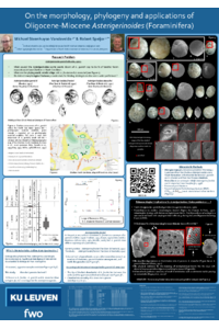 Poster_IOCTX_2025_Michael_Steenhuyse-Vandevelde.pdf