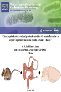 Presentation for ECM 2020 by Daniel Cuervo-Zanatta.pdf