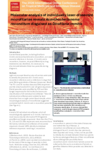 Joao conference FINAL vii2026 AQUI.pdf