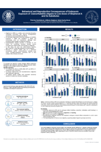 IOXCE_2026_Poster_Hockickova.pdf