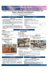 Poster EL BRINI .pdf