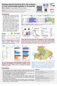 DptB story poster3.pdf