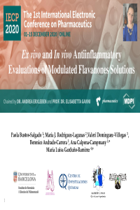 Presentation_Bustos_P.pdf