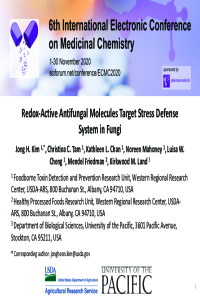 Kim et al-2020 Electronic_Conference_on_Medicinal_Chemistry_PPT.pdf