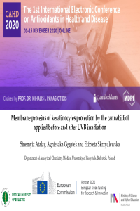 SA_CAHD2020_presentation_10.10.2020.pdf