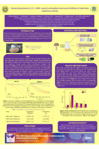 9th-ECMC_Poster_template_Rašeta_et al 2023.pdf