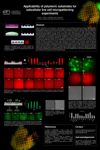 sciforum-048044 Poster Hager Applicability of polymeric substrates for subcellular live cell micropatterning experiments.pdf