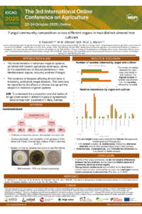 IOCAG2025_AnaFaustino (1).pdf