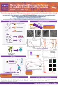 Niki Pouyanfar Poster.pdf