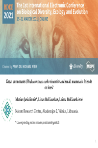 BDEE presentation Lithuania.pdf