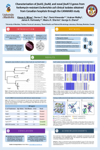 sciforum-044310_poster.pdf
