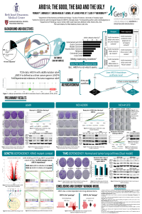 sciforum-041279.pdf