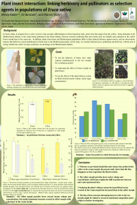 sciforum-046770.pdf