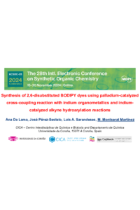 Poster ECSOC28.pdf