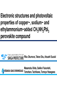 Slide_RikuOkumura02.pdf