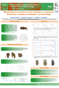 C.Amaya.R.pptx.pdf