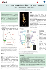 Poster BDEE.pdf