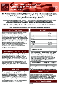 poster 38.1x54.2 cm.pdf
