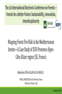 sciforum-035200 slide.pdf
