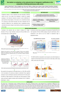 Poster_Luciana.pdf