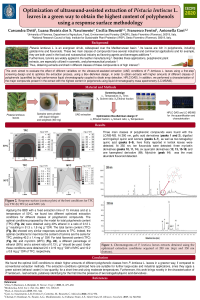 IECPS_POSTER_Cassandra Detti.pdf
