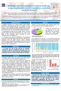 Poster_pigs_ANunes.pdf