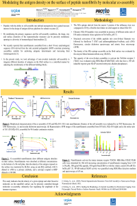 sciforum_045353_manuscript_Poster_Bricha_Salma.pdf