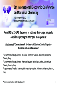oral comunication Dr Rita Turnaturi.pdf