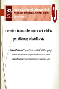 sciforum-044320 .pdf