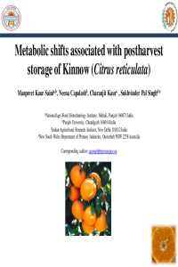 Presentation 2nd IECM.pdf