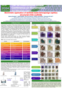 Dziedzic Izabela poster Biomimetics conference.pdf