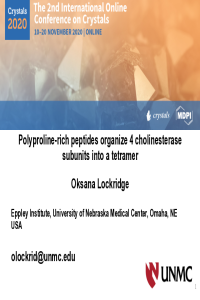 19nov20 powerpoint.pdf