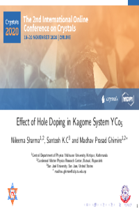 Nileema.pdf