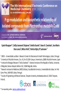 sciforum-066617.pdf