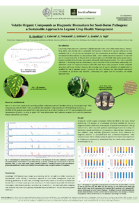20250522_Poster_IECHo2025_Dario_Gaudioso.pdf