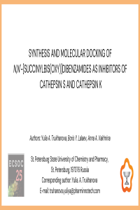 MDMI pres.pdf