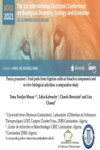 Presentation 3.pdf