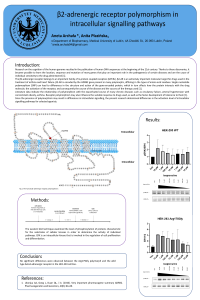 Aneta Archała β2-adrenergic receptor polymorphism.pdf