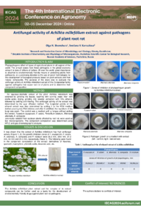 Shemshura_Kamzolova_Poster.pdf