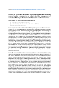 WS Diving17.pdf