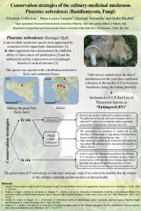 Conservation strategies of Pleurotus nebrodensis - poster.pdf