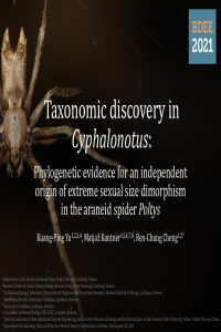 Taxonomic discovery in Cyphalonotus.pdf