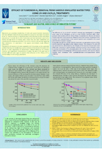 Poster Jevtic I..pdf