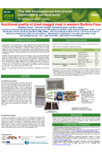 100960_TraoreIbrahima.pdf