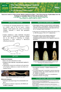 Poster - Luísa Mendes.pdf